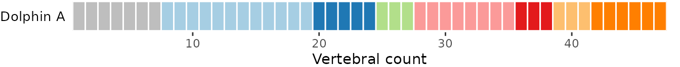 **Fig.6.** Vertebral maps of the best fit model using BIC criterion *(top)*, the 2^nd^ best fit model using AICc criterion *(middle)*, a user-defined model with breakpoints at vertebrae 12, 17, 20, and 30 *(bottom)*.