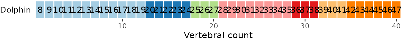 **Fig.8.** Vertebral maps with anatomical region boundaries represented by vertical bars *(top)* and vertebral position labelled on corresponding rectangle *(bottom)*.