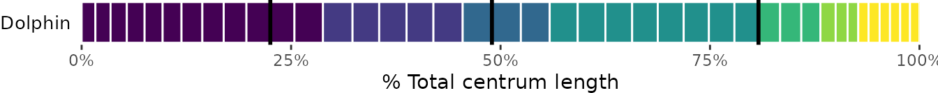 **Fig.10.** Vertebral maps with regions colored with a user-defined palette using *viridis* *(top)* and custom palettes for different blocks *(bottom)*.