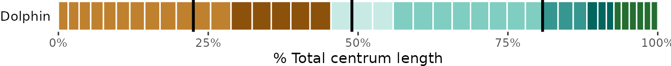 **Fig.10.** Vertebral maps with regions colored with a user-defined palette using *viridis* *(top)* and custom palettes for different blocks *(bottom)*.